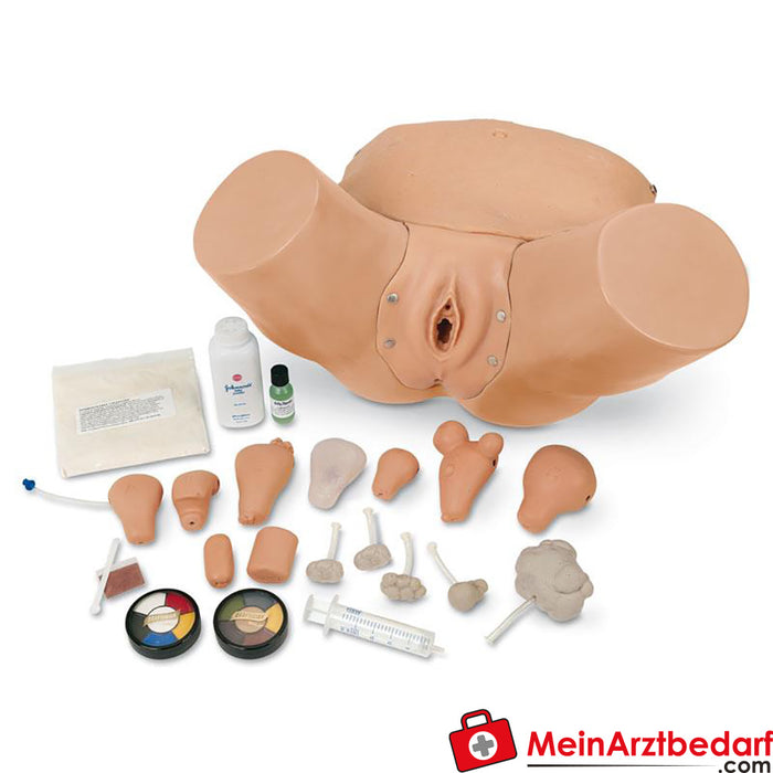 Erler Zimmer Accessories for Advanced Pelvic Examination and Gynaecology Simulator