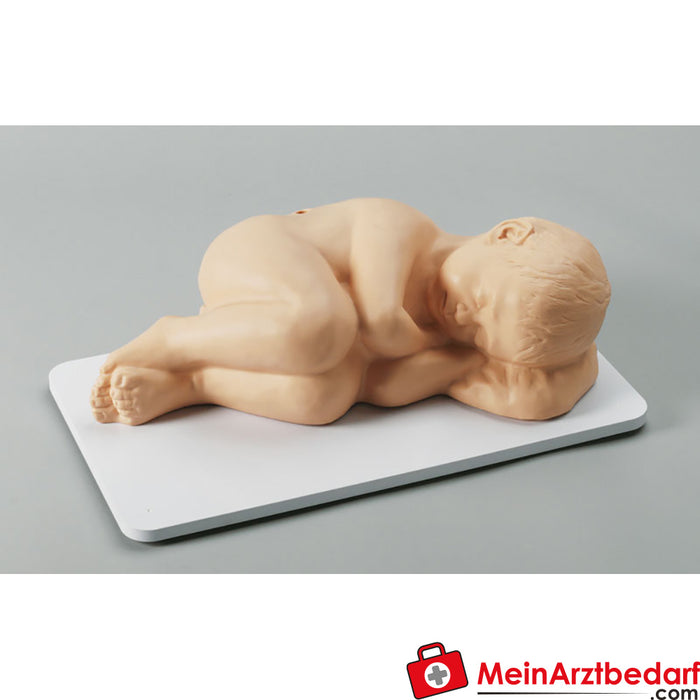 Erler Zimmer accessories for paediatric lumbar puncture simulator