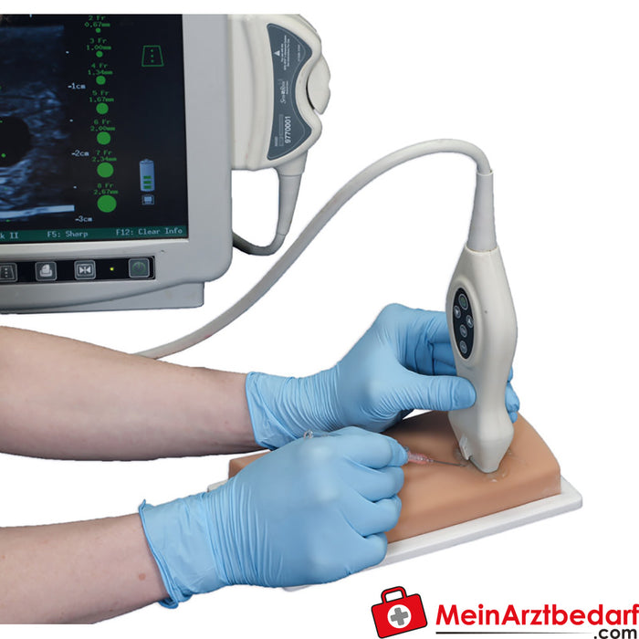 Fantoma de ultrasonido de acceso vascular Erler Zimmer