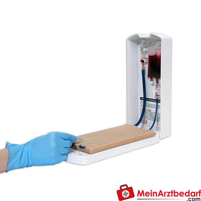 Erler Zimmer Advanced four-vein puncture exercise model