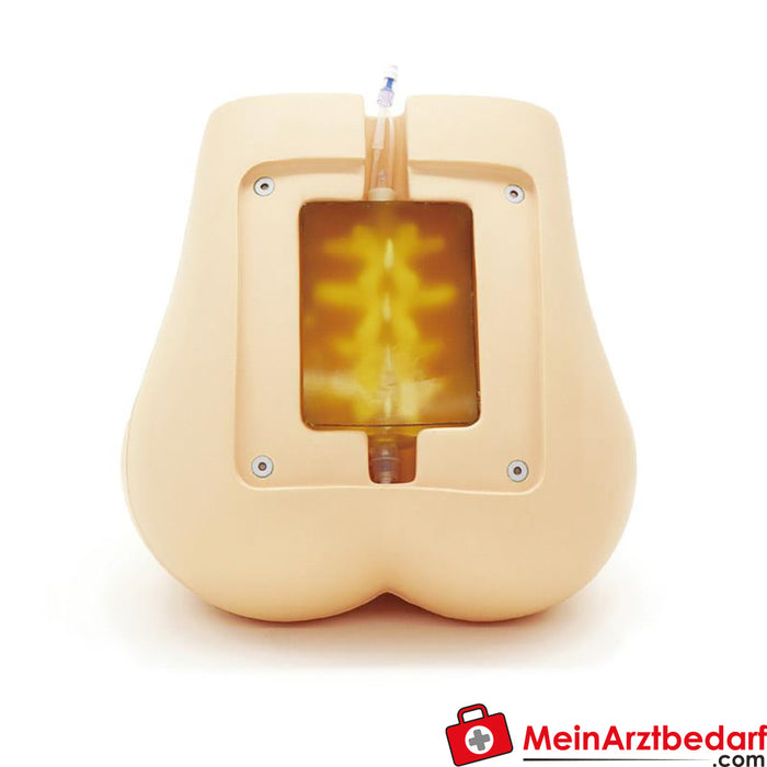 Erler Zimmer Simulador de punción lumbar/punción epidural con capacidad de ultrasonido