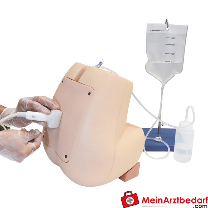 Erler Zimmer accessories for ultrasound-capable lumbar puncture/epidural puncture simulator