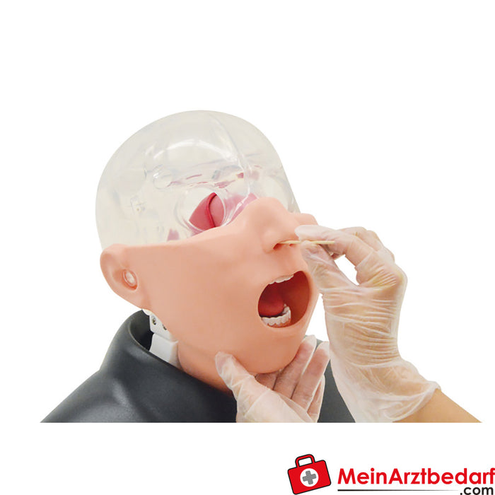 Erler Zimmer Nasopharyngeal swab simulator