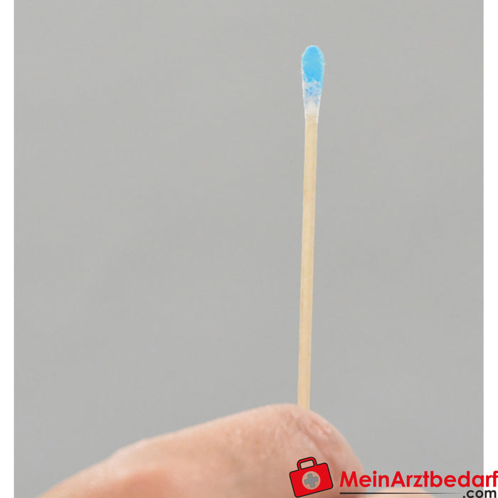 Erler Zimmer Nasopharyngeal swab simulator