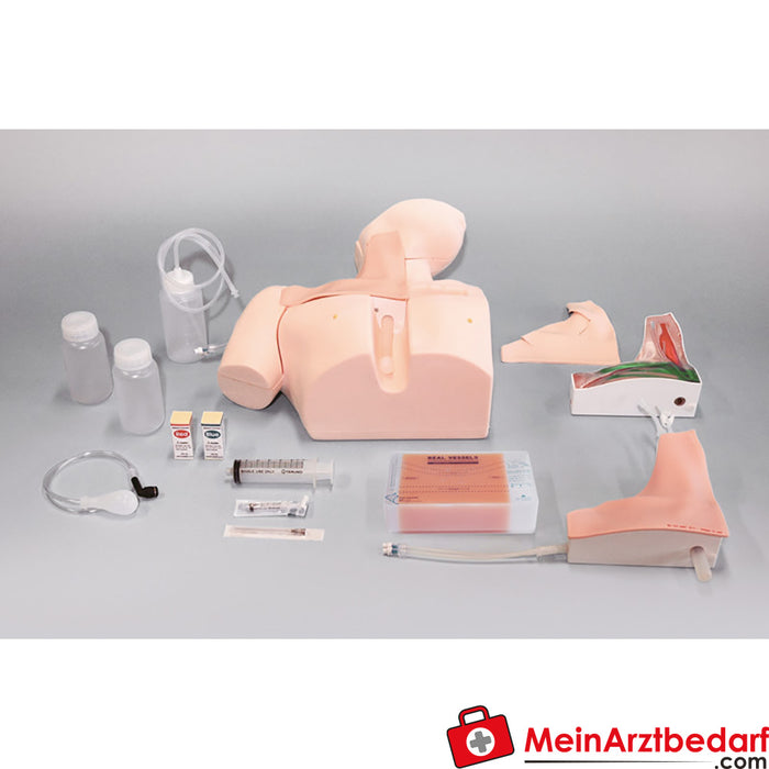 Erler Zimmer Central venous catheter puncture trainer