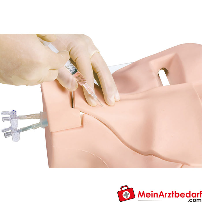 Erler Zimmer accessories for central venous catheter puncture trainer