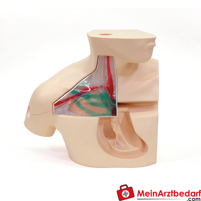 Erler Zimmer accessories for central venous catheter puncture trainer