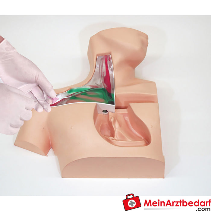 Erler Zimmer accessories for central venous catheter puncture trainer