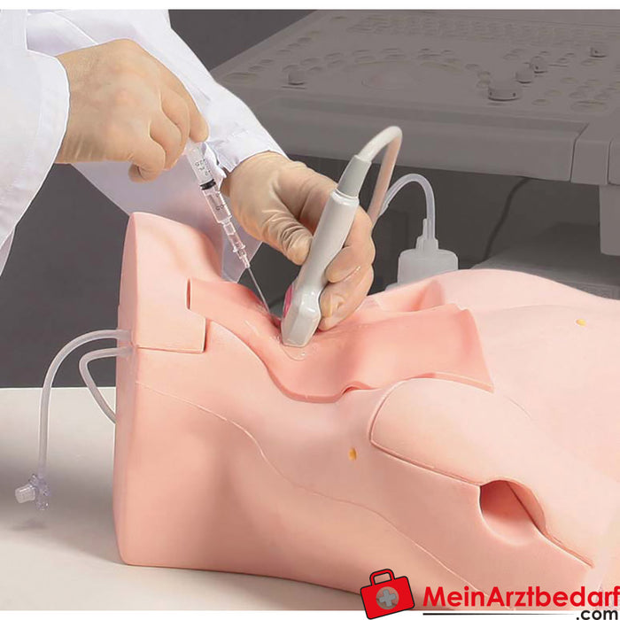 Erler Zimmer Central venous catheter puncture trainer