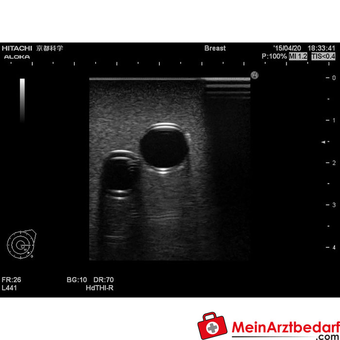 Erler Zimmer Simulateur de canulation de CVC III