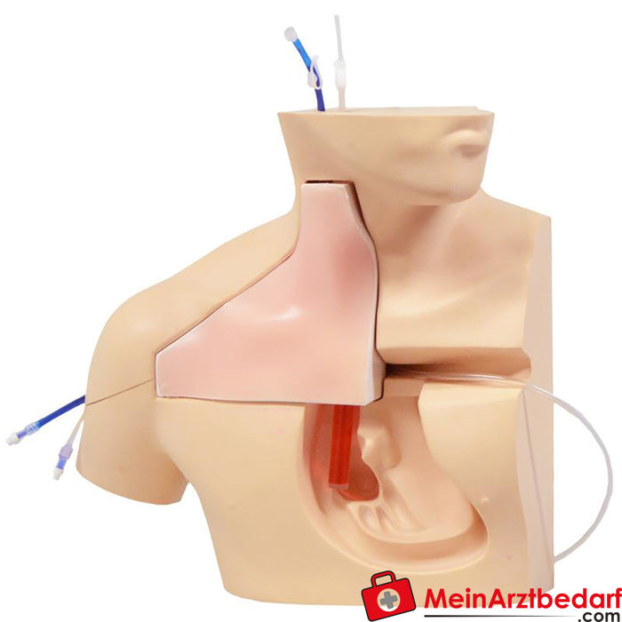 Erler Zimmer Simulateur de canulation de CVC III