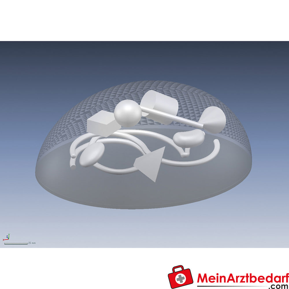 Erler Zimmer Basic ultrasound phantom