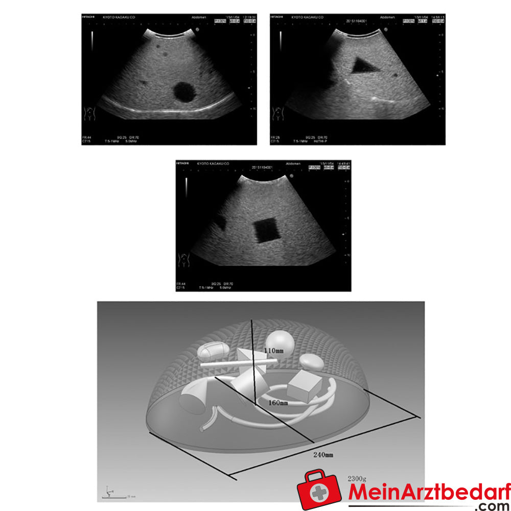 Erler Zimmer Basic ultrasound phantom