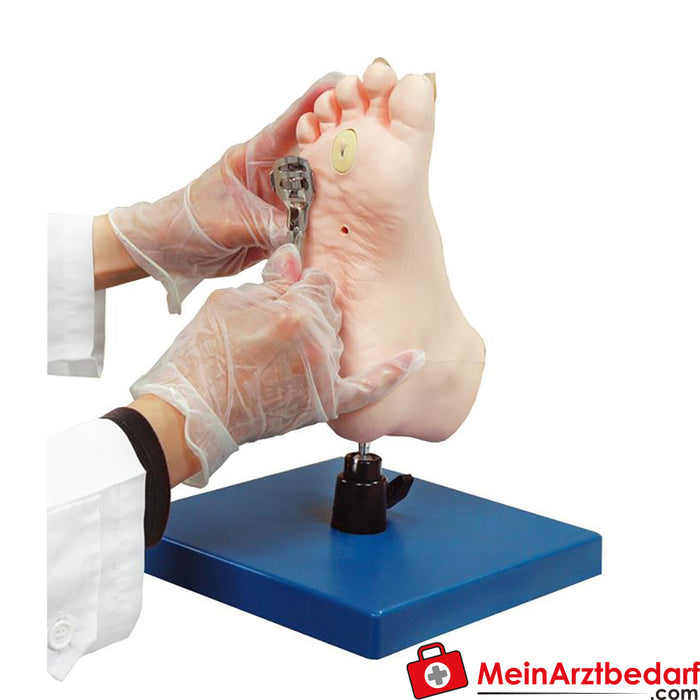 Erler Zimmer Modelo de formação em cuidados com os pés médicos