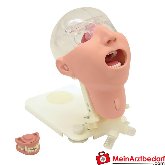 Erler Zimmer Professionele simulator voor mondverzorging