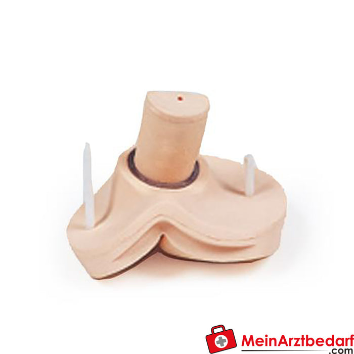 Erler Zimmer accessories for rectal examination model