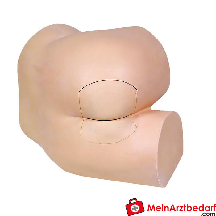 Erler Zimmer accessories for rectal examination model