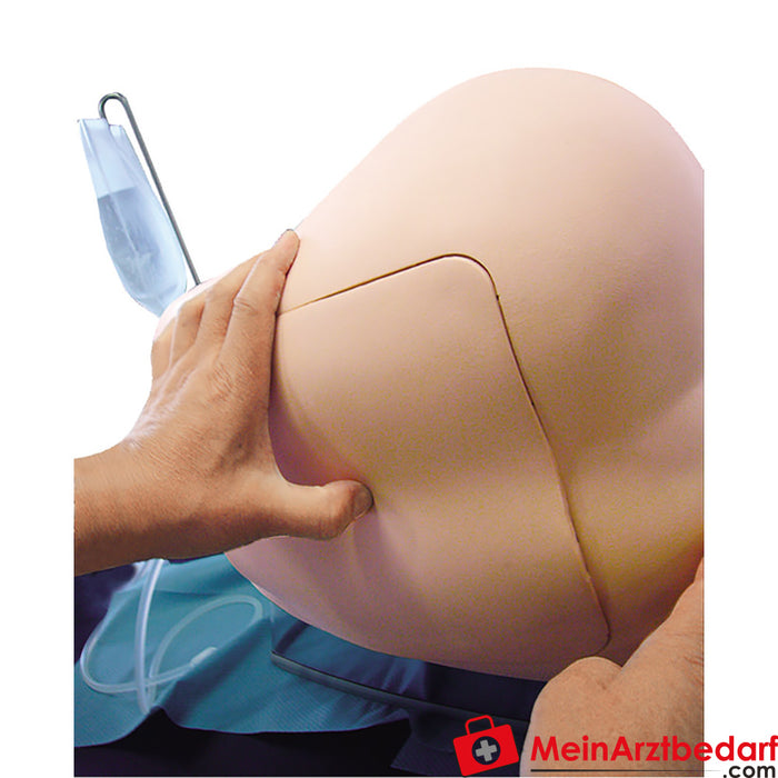 Erler Zimmer accessories for lumbar puncture simulator