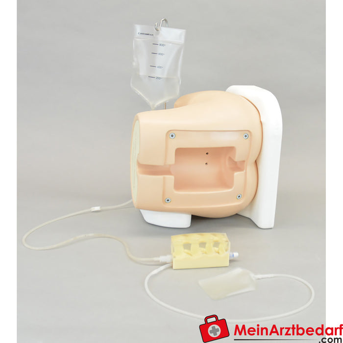 Erler Zimmer accessories for lumbar puncture simulator