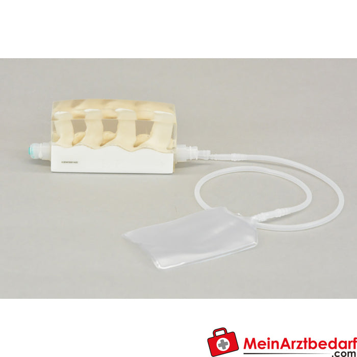 Erler Zimmer accessories for lumbar puncture simulator