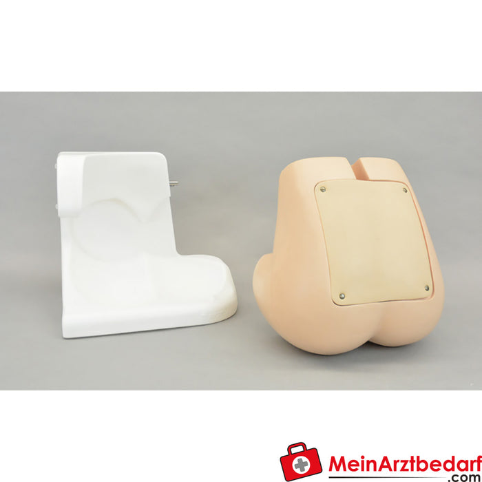 Erler Zimmer accessories for lumbar puncture simulator