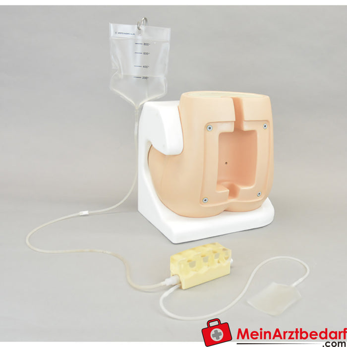 Erler Zimmer accessories for lumbar puncture simulator