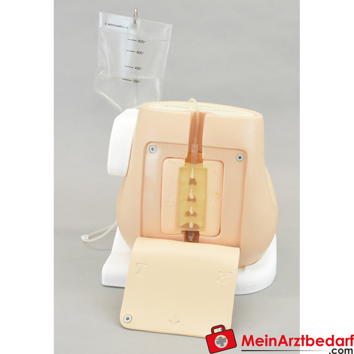 Erler Zimmer accessories for lumbar puncture simulator