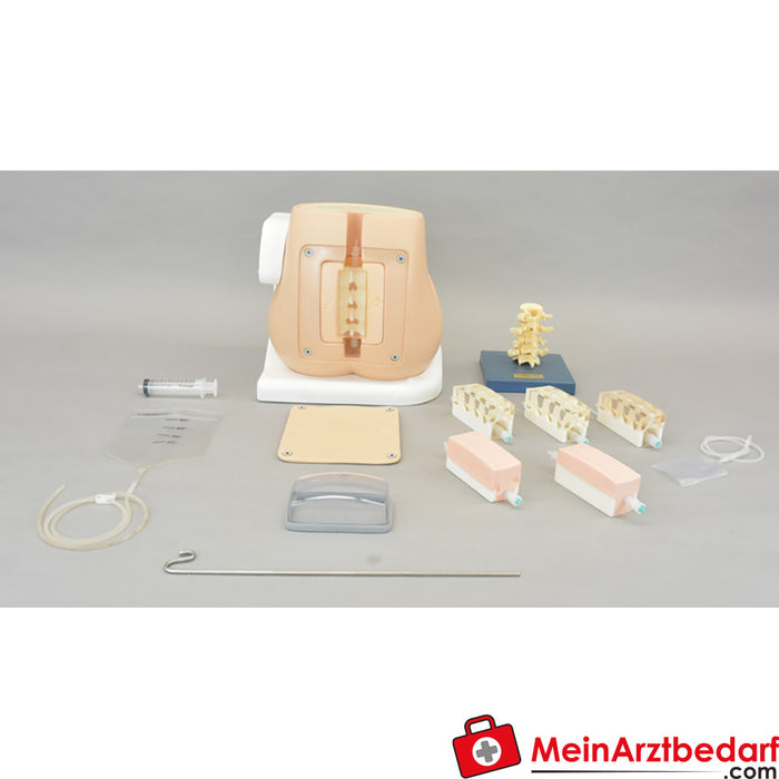 Erler Zimmer accessories for lumbar puncture simulator