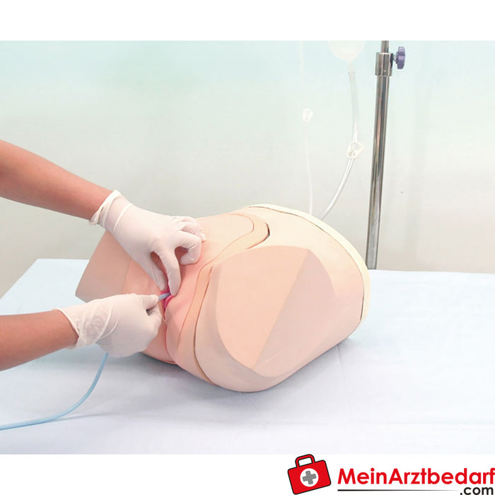 Erler Zimmer Catheterization/enema simulator, female