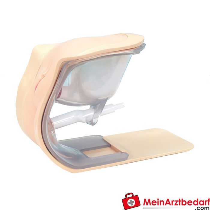 Erler Zimmer accessories for female catheterisation/enema simulator