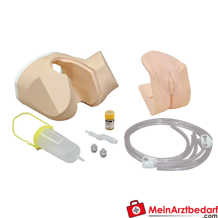 Erler Zimmer accessories for female catheterisation/enema simulator