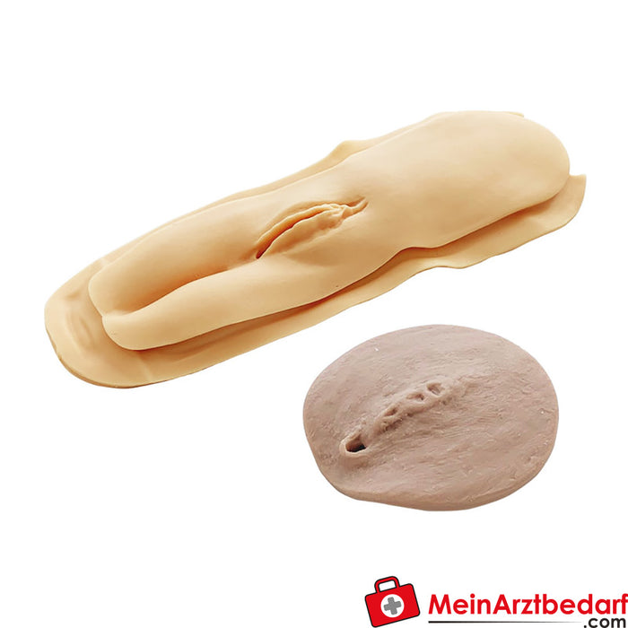 Erler Zimmer accessories for female catheterisation/enema simulator