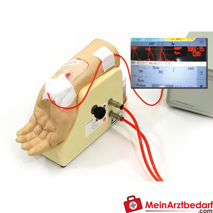 Erler Zimmer Handgelenk zur Arterienpunktion