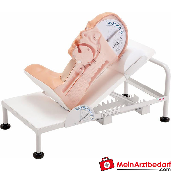 Erler Zimmer Demonstration model swallowing mechanism