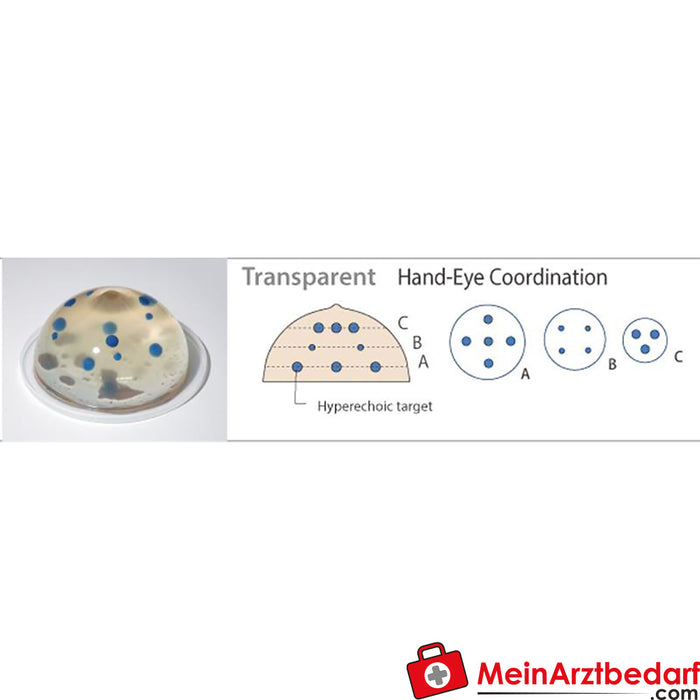 Erler Zimmer Ultrasound-guided breast biopsy phantom (set with a basic and an extended version)