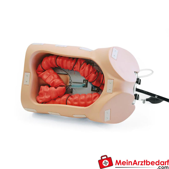 Erler Zimmer Colonoscopy training model 3D