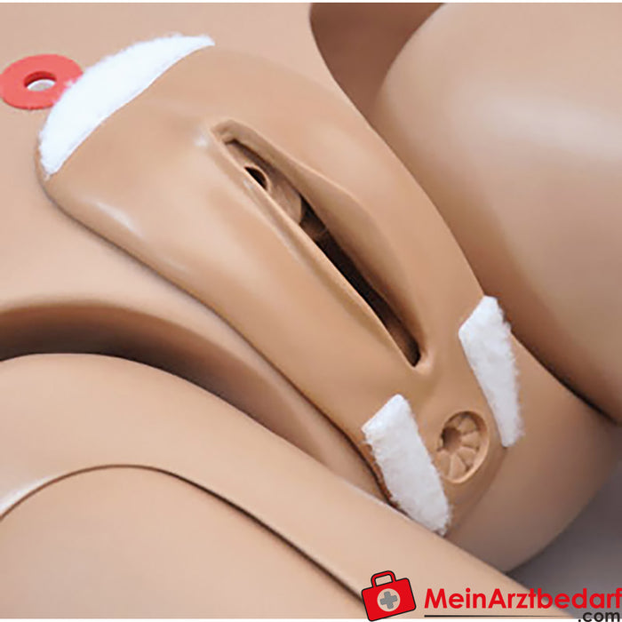 Erler Zimmer Mannequin de soins infirmiers, modèle standard