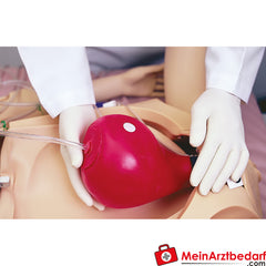 Erler Zimmer Zubehör für Noelle Geburtssimulator mit PEDI Blue Säuglingssimulator.