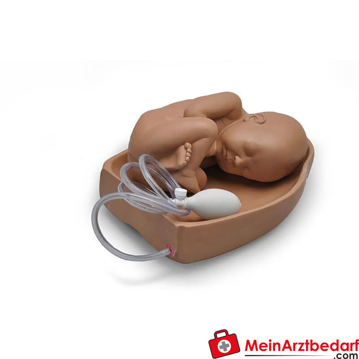 Erler Zimmer Accessories for Universal Birth Simulator