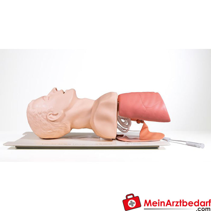 Laerdal Airway Management Trainer