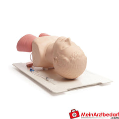Laerdal Zubehör für Airway Management Trainer.