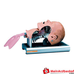 Erler-Zimmer Airway Management Trainer Adult.