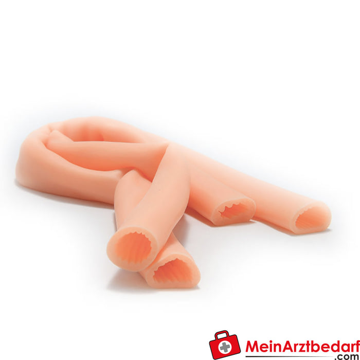 Erler Zimmer Small intestine simulator, two 40cm segments