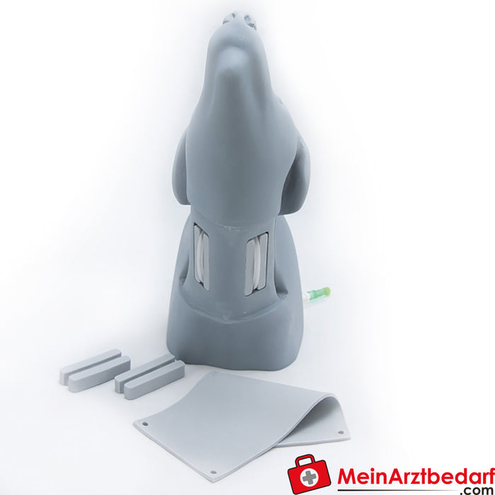 Erler Zimmer Dog head vascular access simulator