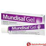 MUN02 Mundisal Gel 8 g schmerzlindernd und entzündungshemmend für Mund und Rachen.
