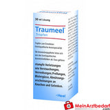 Traumeel Tropfen 30 ml homöopathisches Arzneimittel bei Prellungen und Verstauchungen.