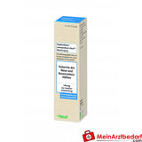 Heel Euphorbium compositum Nasenspray 20 ml homöopathisches Arzneimittel.