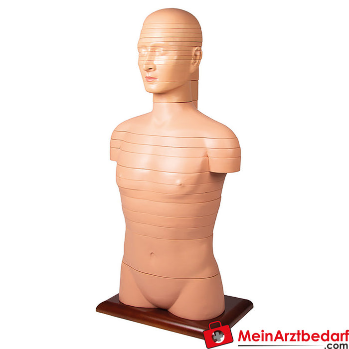 Erler Zimmer Schijf torso, natuurlijke grootte