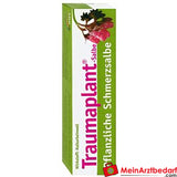 HWS Traumaplant Pomada 100 g - pomada a base de plantas para contusiones, esguinces, dolores musculares y articulares