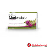 Dr. Böhm Gélules de Chardon-Marie 140 mg Silymarine - 30 pcs. fonction hépatique